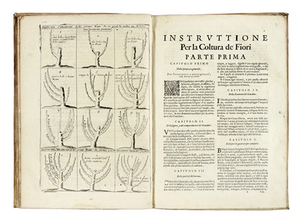  Dahuron Rene : Il giardiniero francese, overo Trattato del tagliare gl'alberi da frutto con la maniera di ben allevarli [...] Aggiunto un Compendio delle regole, e massime più necessarie, per l'esercitio di quest'arte... Botanica, Letteratura francese  Louis Liger  (1658 - 1717)  - Auction Books from XV to XIX Century [II Part] - Libreria Antiquaria Gonnelli - Casa d'Aste - Gonnelli Casa d'Aste