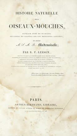  Lesson Ren Primevre : Histoire naturelle des oiseaux-mouches, ouvrage orne de planches dessinees et gravees par le meilleurs artistes... Scienze naturali, Figurato  - Auction Books from XV to XIX Century [II Part] - Libreria Antiquaria Gonnelli - Casa d'Aste - Gonnelli Casa d'Aste