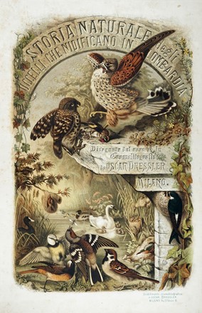  Bettoni Eugenio : Storia naturale degli uccelli che nidificano in Lombardia ad illustrazione della raccolta ornitologica dei fratelli Ercole ed Ernesto Turati... Vol. I (-II).  - Asta Libri a stampa dal XV al XIX secolo [Parte II] - Libreria Antiquaria Gonnelli - Casa d'Aste - Gonnelli Casa d'Aste