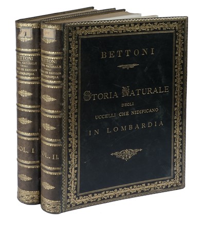  Bettoni Eugenio : Storia naturale degli uccelli che nidificano in Lombardia ad illustrazione della raccolta ornitologica dei fratelli Ercole ed Ernesto Turati... Vol. I (-II).  - Asta Libri a stampa dal XV al XIX secolo [Parte II] - Libreria Antiquaria Gonnelli - Casa d'Aste - Gonnelli Casa d'Aste