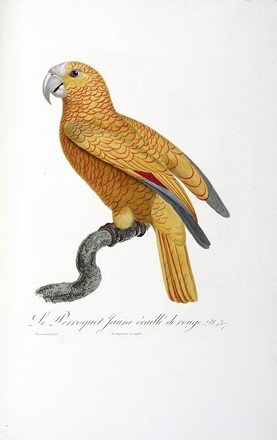  Levaillant Franois : Histoire naturelle des perroquets. Tome premier (-second).  [..]