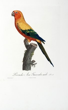  Levaillant Franois : Histoire naturelle des perroquets. Tome premier (-second).  [..]