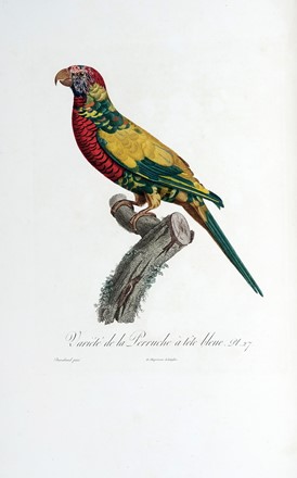  Levaillant Franois : Histoire naturelle des perroquets. Tome premier (-second).  [..]
