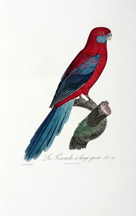  Levaillant Franois : Histoire naturelle des perroquets. Tome premier (-second).  [..]