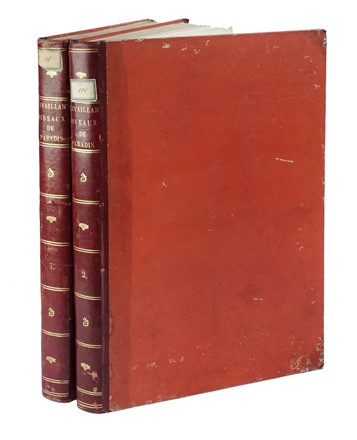  Levaillant François : Histoire naturelle des oiseaux de paradis et des rolliers, suivie de celle des Toucans et des Barbus. Tome premier (-second).  - Asta Libri a stampa dal XV al XIX secolo [Parte II] - Libreria Antiquaria Gonnelli - Casa d'Aste - Gonnelli Casa d'Aste