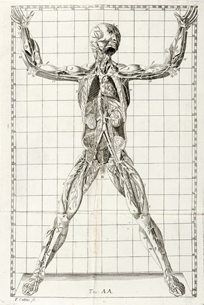  Winslow Jacques Bénigne : Esposizione anatomica della struttura del corpo umano [...] Tomo primo (-secondo).  - Asta Libri a stampa dal XV al XIX secolo [Parte II] - Libreria Antiquaria Gonnelli - Casa d'Aste - Gonnelli Casa d'Aste