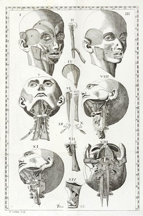  Winslow Jacques Bénigne : Esposizione anatomica della struttura del corpo umano [...] Tomo primo (-secondo).  - Asta Libri a stampa dal XV al XIX secolo [Parte II] - Libreria Antiquaria Gonnelli - Casa d'Aste - Gonnelli Casa d'Aste
