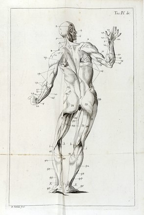  Winslow Jacques Bnigne : Esposizione anatomica della struttura del corpo umano [...] Tomo primo (-secondo). Medicina  - Auction Books from XV to XIX Century [II Part] - Libreria Antiquaria Gonnelli - Casa d'Aste - Gonnelli Casa d'Aste