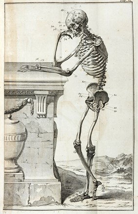  Gazola Giuseppe : Il mondo inganato da falsi medici e disingannato... Medicina  Arcangelo Spedalieri, Giacomo Barzellotti, Antonio Catellacci  - Auction Books from XV to XIX Century [II Part] - Libreria Antiquaria Gonnelli - Casa d'Aste - Gonnelli Casa d'Aste