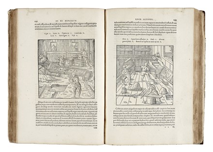  Agricola Georg : De re metallica libri XII. Medicina, Scienze naturali, Figurato, Collezionismo e Bibliografia  - Auction Books from XV to XIX Century [II Part] - Libreria Antiquaria Gonnelli - Casa d'Aste - Gonnelli Casa d'Aste