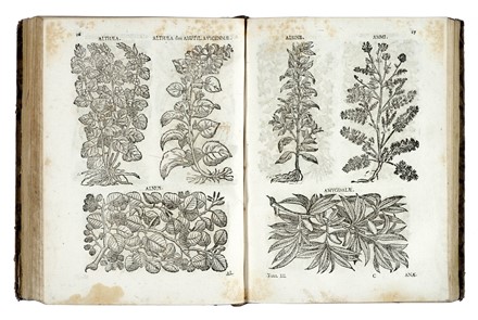  Spielmann Jacob Reinbold : Pharmacopoea generalis... Tomus primus (-tertius). Medicina, Farmacologia, Botanica, Medicina, Scienze naturali  - Auction Books from XV to XIX Century [II Part] - Libreria Antiquaria Gonnelli - Casa d'Aste - Gonnelli Casa d'Aste