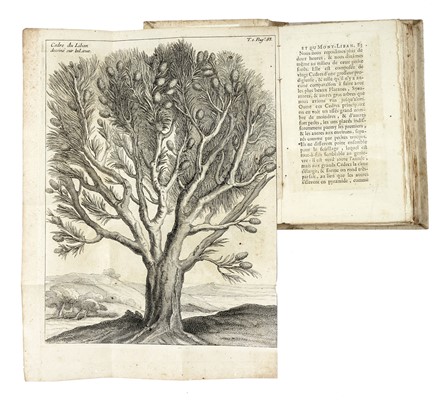  La Roque Jean (de) : Voyage de Syrie et du Mont-Liban contenant la description de tout le pays compris sous le nom de Liban & d'anti-Liban... Tome I (-II).  - Asta Libri a stampa dal XV al XIX secolo [Parte II] - Libreria Antiquaria Gonnelli - Casa d'Aste - Gonnelli Casa d'Aste
