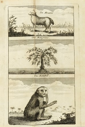  Smith William : Nouveau voyage de Guinée... Premiere (-seconde) partie.  Jean Baptiste Le Mascrier  - Asta Libri a stampa dal XV al XIX secolo [Parte II] - Libreria Antiquaria Gonnelli - Casa d'Aste - Gonnelli Casa d'Aste
