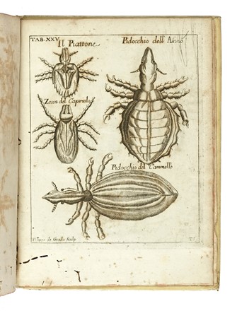  Redi Francesco : Opere [...] con somma diligenza insieme raccolte, accresciute, e migliorate. Tomo primo (-settimo) Letteratura italiana, Letteratura  - Auction Books from XV to XIX Century [II Part] - Libreria Antiquaria Gonnelli - Casa d'Aste - Gonnelli Casa d'Aste