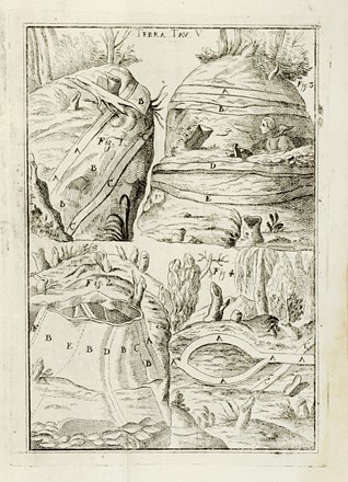  Della Torre Giovanni Maria : Scienza della natura generale [...] Parte prima (-seconda).  - Asta Libri a stampa dal XV al XIX secolo [Parte II] - Libreria Antiquaria Gonnelli - Casa d'Aste - Gonnelli Casa d'Aste