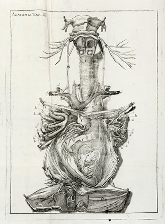  Della Torre Giovanni Maria : Scienza della natura generale [...] Parte prima (-seconda).  - Asta Libri a stampa dal XV al XIX secolo [Parte II] - Libreria Antiquaria Gonnelli - Casa d'Aste - Gonnelli Casa d'Aste