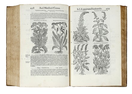  Mattioli Pietro Andrea : Commentarii in libros sex Pedacii Dioscoridis [...] Adiectis quam plurimis plantarum & animalium imaginibus...  Pedanius Dioscorides  - Asta Libri a stampa dal XV al XIX secolo [Parte II] - Libreria Antiquaria Gonnelli - Casa d'Aste - Gonnelli Casa d'Aste