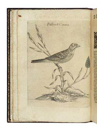  Olina Pietro Giovanni : Uccelliera overo discorso della natura e proprieta di diversi uccelli e in particolare di que' che cantano, con il modo di prendergli, conoscergli, allevargli e mantenergli...  Antonio Tempesta  (Firenze, 1555 - Roma, 1630), Francesco Villamena  (Assisi,  - Roma, 1626)  - Asta Libri a stampa dal XV al XIX secolo [Parte II] - Libreria Antiquaria Gonnelli - Casa d'Aste - Gonnelli Casa d'Aste