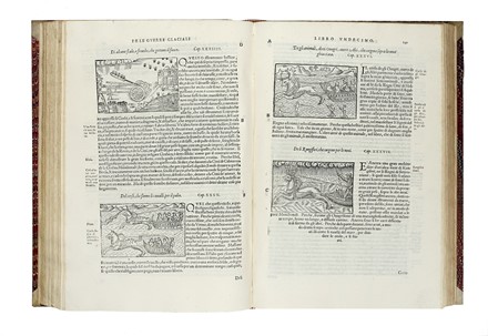  Magnus Olaus : Historia delle genti et della natura delle cose settentrionali [...]descritta in XXII libri. Nuovamente tradotta in lingua Toscana. [...]. Con una tavola copiosissima delle cose piu notabili, in quella contenute.  - Asta Libri a stampa dal XV al XIX secolo [Parte II] - Libreria Antiquaria Gonnelli - Casa d'Aste - Gonnelli Casa d'Aste