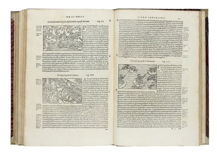  Magnus Olaus : Historia delle genti et della natura delle cose settentrionali [...]descritta in XXII libri. Nuovamente tradotta in lingua Toscana. [...]. Con una tavola copiosissima delle cose piu notabili, in quella contenute.  - Asta Libri a stampa dal XV al XIX secolo [Parte II] - Libreria Antiquaria Gonnelli - Casa d'Aste - Gonnelli Casa d'Aste
