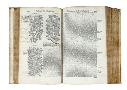  Mattioli Pietro Andrea : I discorsi [...] ne i sei libri della materia medicinale di Pedacio Dioscoride Anazarbeo. Con i veri ritratti delle piante & de gli animali, nuovamente aggiuntovi dal medesimo. Botanica, Figurato, Scienze naturali, Scienze naturali, Collezionismo e Bibliografia  Pedanius Dioscorides  - Auction Books from XV to XIX Century [II Part] - Libreria Antiquaria Gonnelli - Casa d'Aste - Gonnelli Casa d'Aste