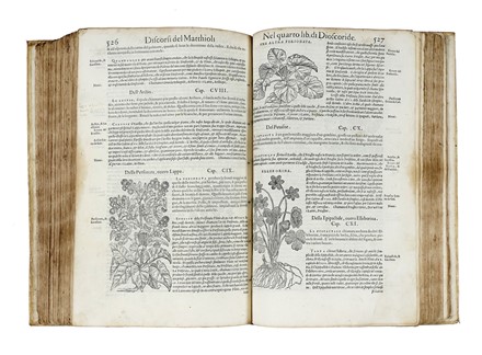  Mattioli Pietro Andrea : I discorsi [...] ne i sei libri della materia medicinale di Pedacio Dioscoride Anazarbeo. Con i veri ritratti delle piante & de gli animali, nuovamente aggiuntovi dal medesimo.  Pedanius Dioscorides  - Asta Libri a stampa dal XV al XIX secolo [Parte II] - Libreria Antiquaria Gonnelli - Casa d'Aste - Gonnelli Casa d'Aste