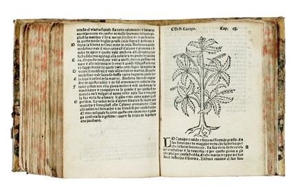  Arnaldo de Vilanova : Herbolario volgare, nel quale se dimostra a conoscer le herbe...  Pedanius Dioscorides  - Asta Libri a stampa dal XV al XIX secolo [Parte II] - Libreria Antiquaria Gonnelli - Casa d'Aste - Gonnelli Casa d'Aste