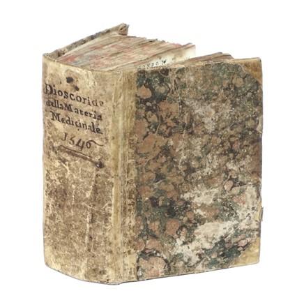  Arnaldo de Vilanova : Herbolario volgare, nel quale se dimostra a conoscer le herbe...  Pedanius Dioscorides  - Asta Libri a stampa dal XV al XIX secolo [Parte II] - Libreria Antiquaria Gonnelli - Casa d'Aste - Gonnelli Casa d'Aste
