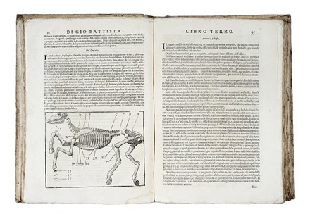  Ferraro Pirro Antonio : Cavallo frenato. Equitazione, Figurato, Scienze tecniche e matematiche, Zoologia, Feste - Folklore - Giochi - Sport, Collezionismo e Bibliografia, Scienze naturali  - Auction Books from XV to XIX Century [II Part] - Libreria Antiquaria Gonnelli - Casa d'Aste - Gonnelli Casa d'Aste