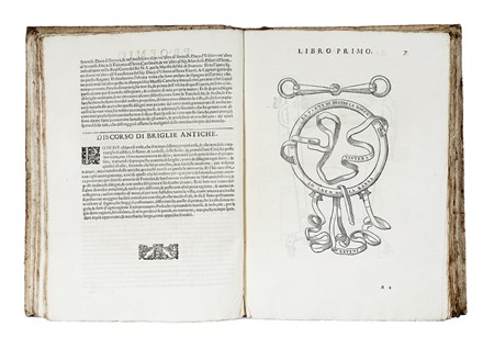  Ferraro Pirro Antonio : Cavallo frenato. Equitazione, Figurato, Scienze tecniche e matematiche, Zoologia, Feste - Folklore - Giochi - Sport, Collezionismo e Bibliografia, Scienze naturali  - Auction Books from XV to XIX Century [II Part] - Libreria Antiquaria Gonnelli - Casa d'Aste - Gonnelli Casa d'Aste