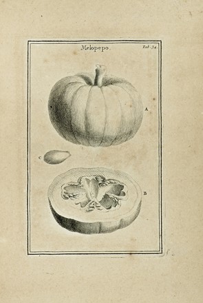  Tournefort (de) Pitton Joseph : Institutiones rei herbariae. Editio tertia. Appendicibus aucta ab Antonio De Jussieu [...] Tomus primo [-tertio]. Botanica, Scienze naturali, Scienze naturali  - Auction Books from XV to XIX Century [II Part] - Libreria Antiquaria Gonnelli - Casa d'Aste - Gonnelli Casa d'Aste