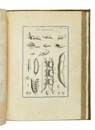  Tournefort (de) Pitton Joseph : Institutiones rei herbariae. Editio tertia. Appendicibus aucta ab Antonio De Jussieu [...] Tomus primo [-tertio]. Botanica, Scienze naturali, Scienze naturali  - Auction Books from XV to XIX Century [II Part] - Libreria Antiquaria Gonnelli - Casa d'Aste - Gonnelli Casa d'Aste