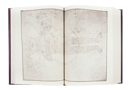  Alighieri Dante : La Divina Commedia. Illustrata da Sandro Botticelli.  Sandro Botticelli  - Asta Libri, autografi e manoscritti - Libreria Antiquaria Gonnelli - Casa d'Aste - Gonnelli Casa d'Aste