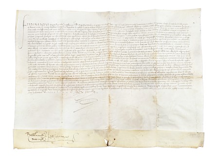  Aragona Ferdinando II : Privilegio su pergamena con intestazione Ferdinandus e  [..]