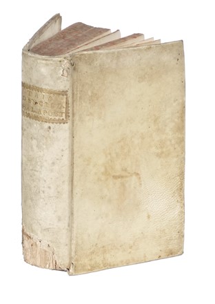  Taia Agostino Maria : Descrizione del Palazzo Apostolico Vaticano.  - Asta Libri, autografi e manoscritti - Libreria Antiquaria Gonnelli - Casa d'Aste - Gonnelli Casa d'Aste