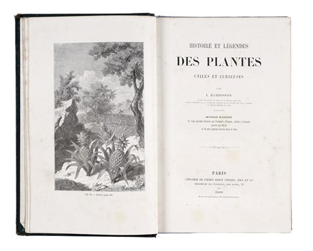  Rambosson Jean : Histoire et légendes des plantes utiles et curieuses.  - Asta Libri, autografi e manoscritti - Libreria Antiquaria Gonnelli - Casa d'Aste - Gonnelli Casa d'Aste