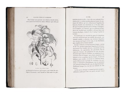  Rambosson Jean : Histoire et légendes des plantes utiles et curieuses.  - Asta Libri, autografi e manoscritti - Libreria Antiquaria Gonnelli - Casa d'Aste - Gonnelli Casa d'Aste