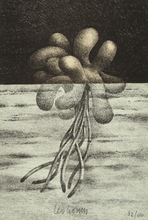  Lionni Leo : La botanica parallela. Illustrazioni dell'Autore.  - Asta Libri, autografi e manoscritti - Libreria Antiquaria Gonnelli - Casa d'Aste - Gonnelli Casa d'Aste