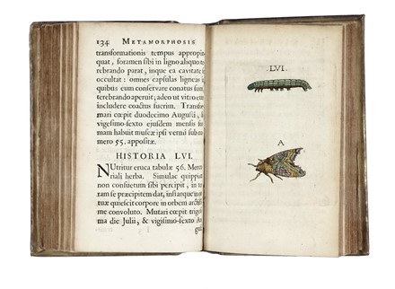  Goedart Johannes : Metamorphosis et historia naturalis insectorum.  - Asta Libri,  [..]