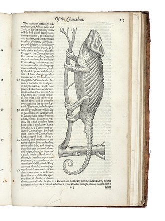  Topsell Edward : The Historie of Serpents or the second booke of living creatures. Zoologia, Scienze naturali, Figurato, Scienze naturali, Collezionismo e Bibliografia  Johann Matthias Gesner  - Auction Books, autographs and manuscripts - Libreria Antiquaria Gonnelli - Casa d'Aste - Gonnelli Casa d'Aste