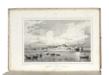  Ajello Giambattista, D'Ayala Mariano : Napoli e i luoghi celebri delle sue vicinanze. Volume I (-II).  Benedetto Marzolla, Achille Gigante, Achille Vianelli, Francesco Wenzel, Antonio Zezon  (Napoli, 1803 - 1881)  - Asta Libri, autografi e manoscritti - Libreria Antiquaria Gonnelli - Casa d'Aste - Gonnelli Casa d'Aste