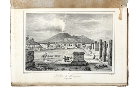  Ajello Giambattista, D'Ayala Mariano : Napoli e i luoghi celebri delle sue vicinanze. Volume I (-II).  Benedetto Marzolla, Achille Gigante, Achille Vianelli, Francesco Wenzel, Antonio Zezon  (Napoli, 1803 - 1881)  - Asta Libri, autografi e manoscritti - Libreria Antiquaria Gonnelli - Casa d'Aste - Gonnelli Casa d'Aste