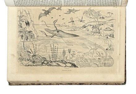  Guerin-Méneville Félix-Edouard : Dictionnaire pittoresque d'histoire naturelle et des phénomènes de la nature, contenant l'histoire des animaux, des végétaux [...]. Tome premier (-neuvième).  Charles Beyer  - Asta Libri, autografi e manoscritti - Libreria Antiquaria Gonnelli - Casa d'Aste - Gonnelli Casa d'Aste