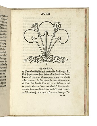  Arnaldo de Vilanova : [Tractatus de virtutibus herbarum]. Incunabolo, Botanica,  [..]