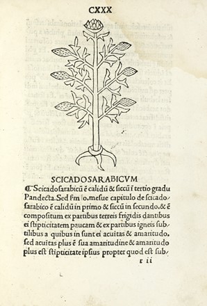  Arnaldo de Vilanova : [Tractatus de virtutibus herbarum].  - Asta Libri, autografi  [..]
