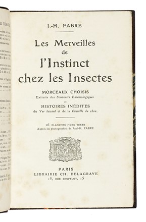  Tirabosco Antonio : L'uccellagione.  - Asta Libri, autografi e manoscritti - Libreria Antiquaria Gonnelli - Casa d'Aste - Gonnelli Casa d'Aste