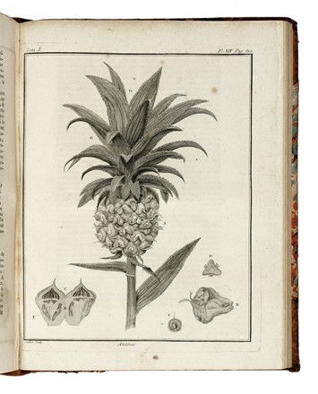  Rozier Jean Baptiste François : Cours complet d'agriculture, théorique, pratique, économique, et de médecine rurale et vétérinaire [...]. Tome premier (-Cinquième).  - Asta Libri, autografi e manoscritti - Libreria Antiquaria Gonnelli - Casa d'Aste - Gonnelli Casa d'Aste