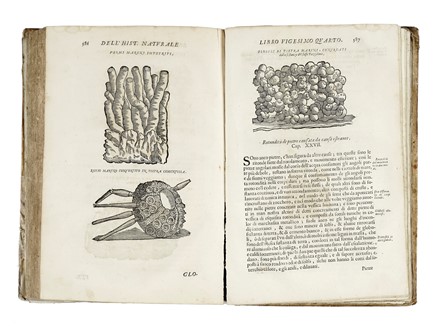  Imperato Ferrante : Historia naturale [...] Nella quale ordinatamente si tratta della diversa condition di minere, pietre pretiose, & altre curiosit�. Con varie historie di piante, & animali...  - Asta Libri, autografi e manoscritti - Libreria Antiquaria Gonnelli - Casa d'Aste - Gonnelli Casa d'Aste