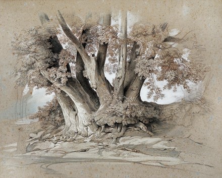  Autori vari : Lotto composto di 96 incisioni e 3 disegni.  Sergio Vatteroni  (Carrara, 1890 - 1993), Louis Legrand  (Digione, 1863 - Livry-Gargan, Seine-et-Oise, 1951), Baccio Maria Bacci  (Firenze, 1888 - Fiesole, 1974), Pio Joris  (Roma, 1843 - 1921), Luigi Bonazza  (Arco, 1877 - Trento, 1965), Ubaldo Magnavacca  (Modena, 1885 - Lerici, 1957), Alphonse Legros  (Digione, 1837 - Watford, 1911), Giuseppe De Nittis  (Barletta, 1846 - Saint Germain en Laye, 1884), Francesco Chiappelli  (Pistoia, 1890 - Firenze, 1947)  - Auction Ancient, Oriental, Modern and Contemporary Art  [II part] - Libreria Antiquaria Gonnelli - Casa d'Aste - Gonnelli Casa d'Aste