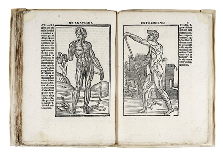  Berengario Jacopo : Anatomia Carpi. Isagoge breves perlucide ac uberime, in anatomiam humani corporis... Anatomia, Medicina  Mondino Liuzzi o Liucci (dei)  - Auction Books, autographs and manuscripts - Libreria Antiquaria Gonnelli - Casa d'Aste - Gonnelli Casa d'Aste